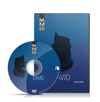  David DVD Image