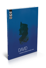  David Product Image