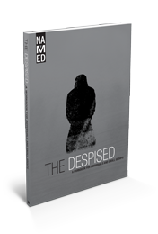 The Despised Product Image