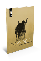 The Prophets Product Image